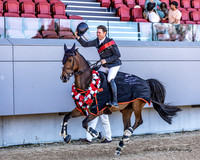 WPSJ - Ring 1 - 1.45m Shepherd Electrical Mini Prix - 17.09.2023