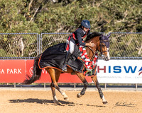 WPSJ - Ring 1 -Evans Park Junior 1.25m 17.09.2023