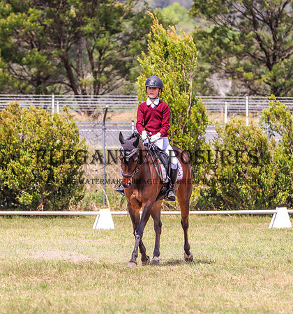 KMS-1069