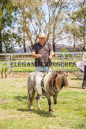 _AJG9763