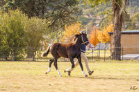 _AJG6546