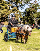 MKG_1225