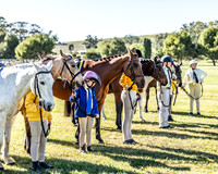 Canowindra Show - Hacking - Friday 22.09.2023