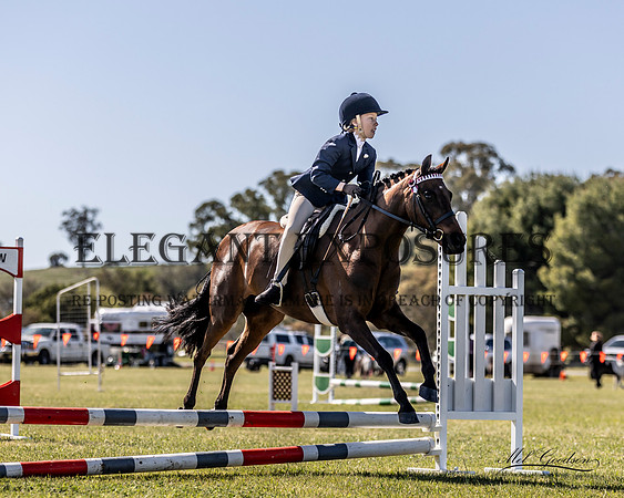 MKG_4188