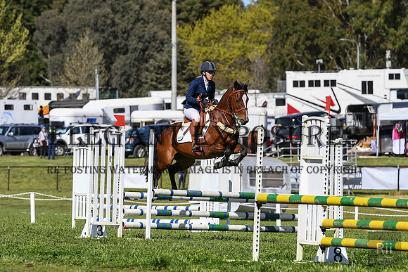 RII_0121