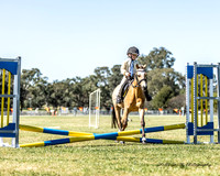 MAS_1803