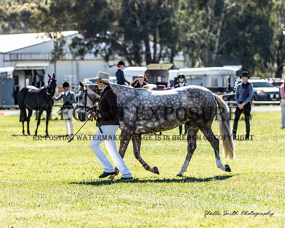 MAS_2161