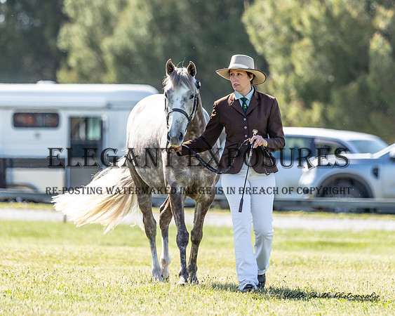 MAS_2336