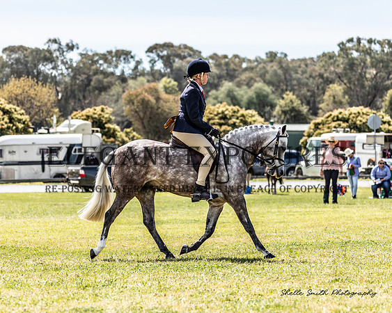MAS_3274