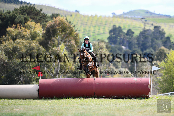 RII_3942