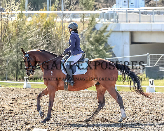 MHP_0257