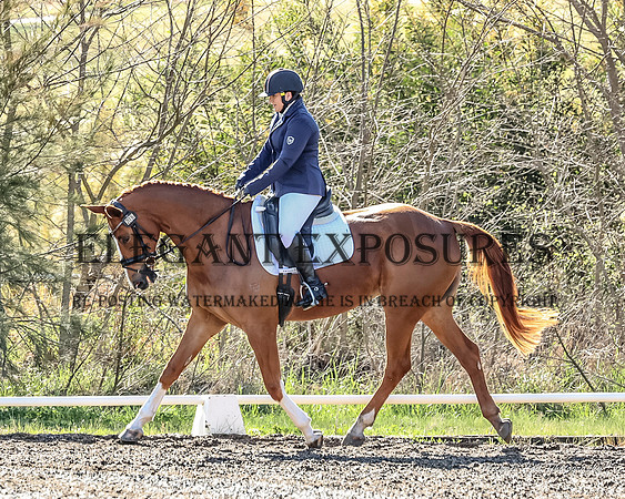 MHP_0377