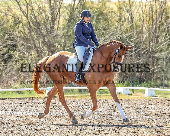 MHP_0379