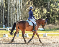 MHP_0137