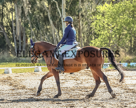 MHP_0151