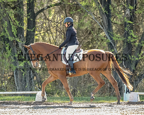 MHP_0284