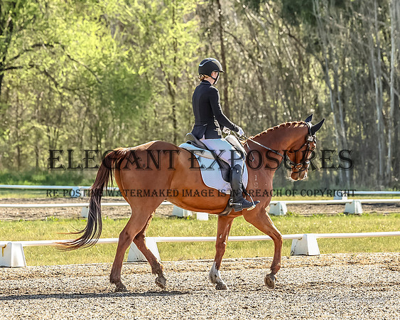 MHP_0367