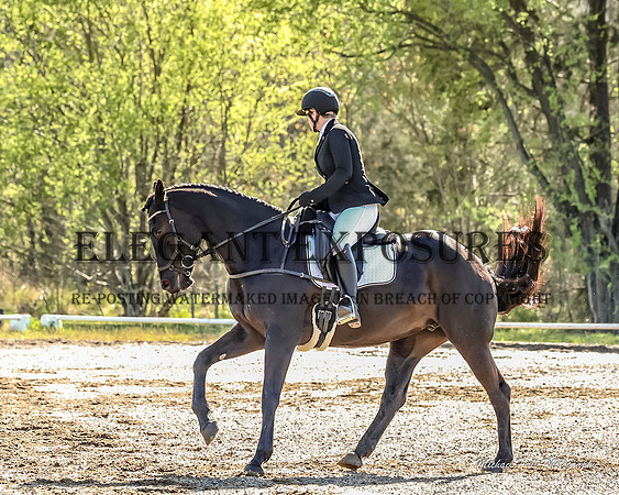 MHP_0470