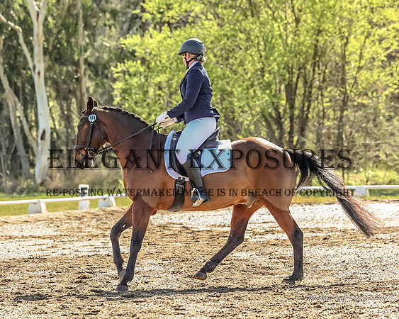 MHP_0646
