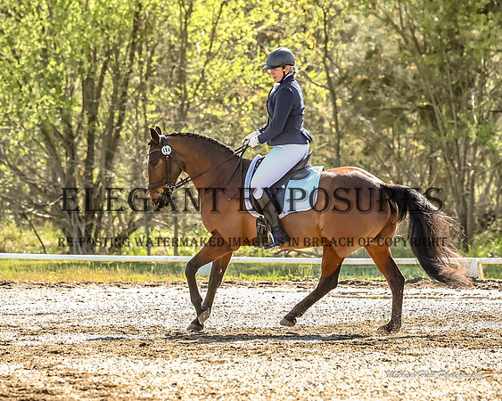 MHP_0668