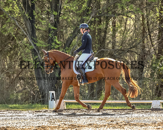 MHP_0694