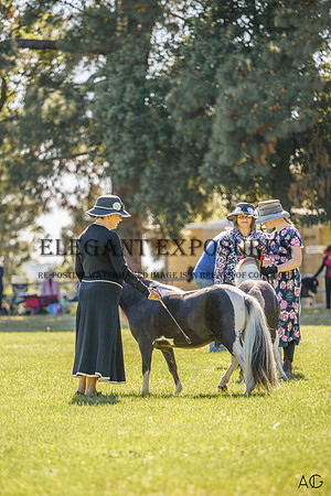 _AJG6829