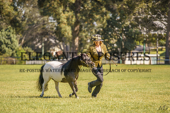 _AJG6983