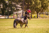 _AJG7436