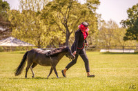 _AJG7442