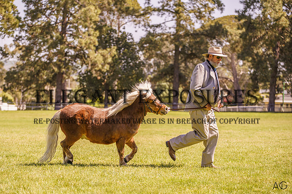 _AJG7593
