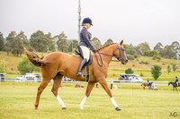 _AJG3494