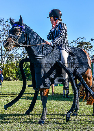 NYK_0096