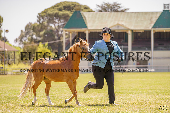 _AJG8612