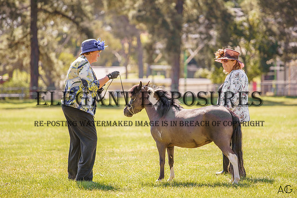 _AJG8912