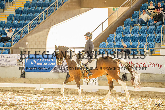_AJG5496