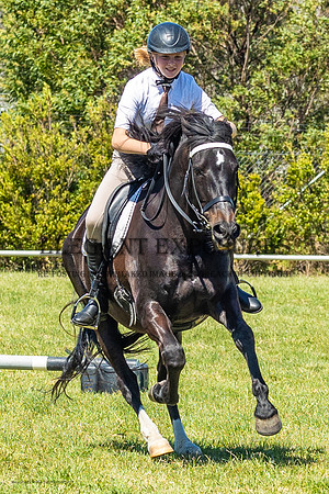 MHP_0638