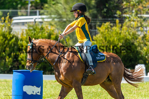MHP_0284