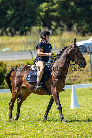 MHP_0293