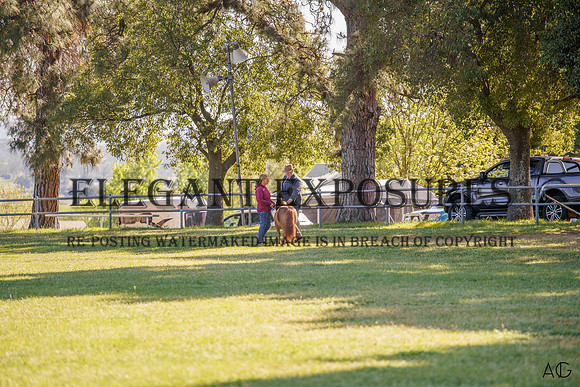 _AJG6785