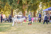 _AJG6797