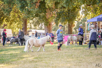 _AJG6796