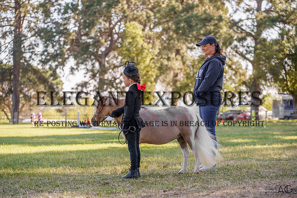 _AJG0086-1