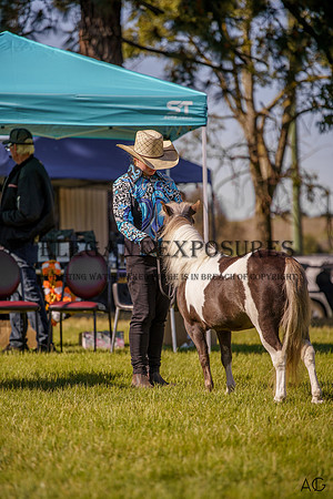 _AJG0170
