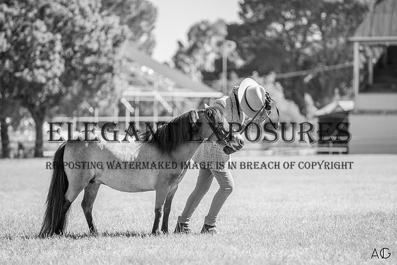 _AJG0747 copy