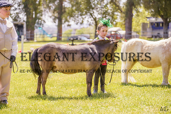 _AJG1069