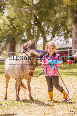 _AJG1419