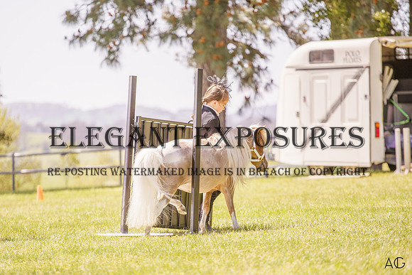 _AJG1444