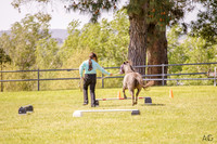 _AJG1780