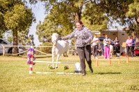 _AJG2012