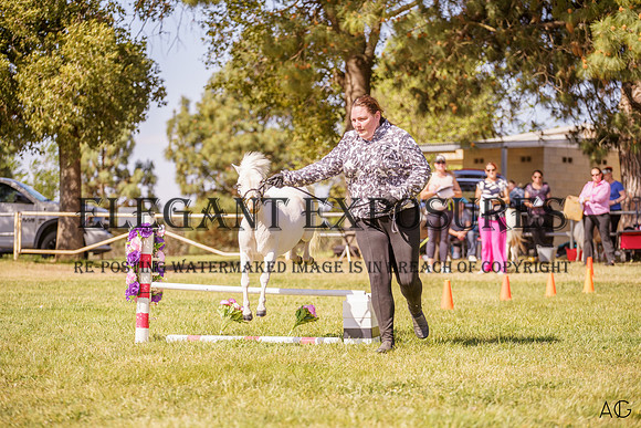 _AJG2012